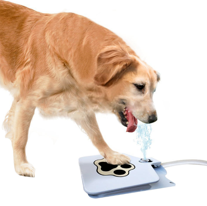 Bebedouro Brinquedo Interativo para Cães de Metal – Água Fresca ao Acionar a Pata | ForPatas