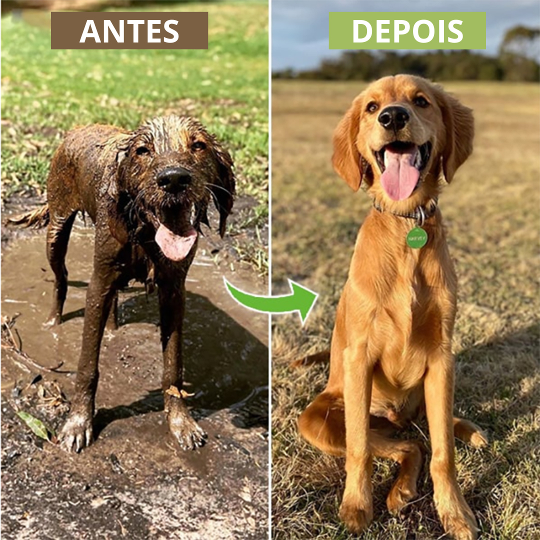 Chuveirinho com Pulverizador de Shampoo – Banho Prático e Econômico para Pets | ForPatas
