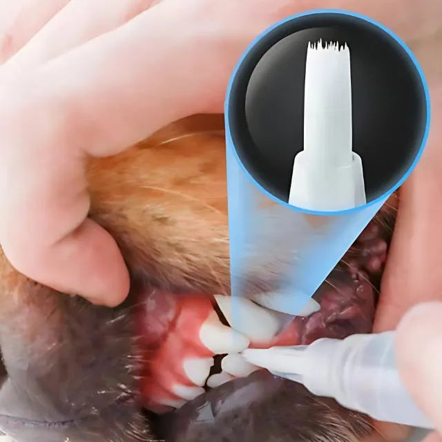 Caneta de higiene bucal para cachorro e gatos