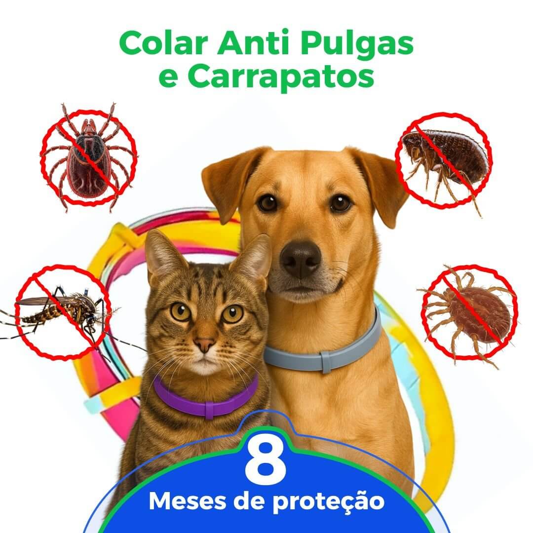 Coleira Anti Pulgas, Carrapatos e Mosquitos 100% Natural – Proteção até 8 Meses | ForPatas