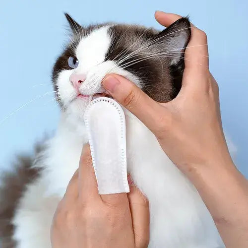 Lenço de Limpeza Dental para Cães e Gatos