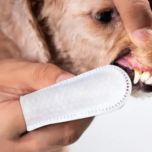 Lenço de Limpeza Dental para Cães e Gatos