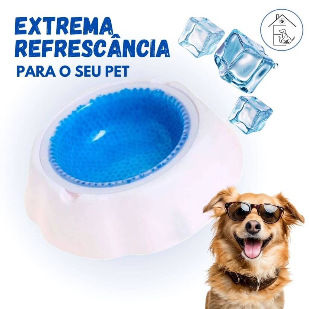 Tigela Gelada para Cães e Gatos – Água Sempre Fresquinha | ForPatas