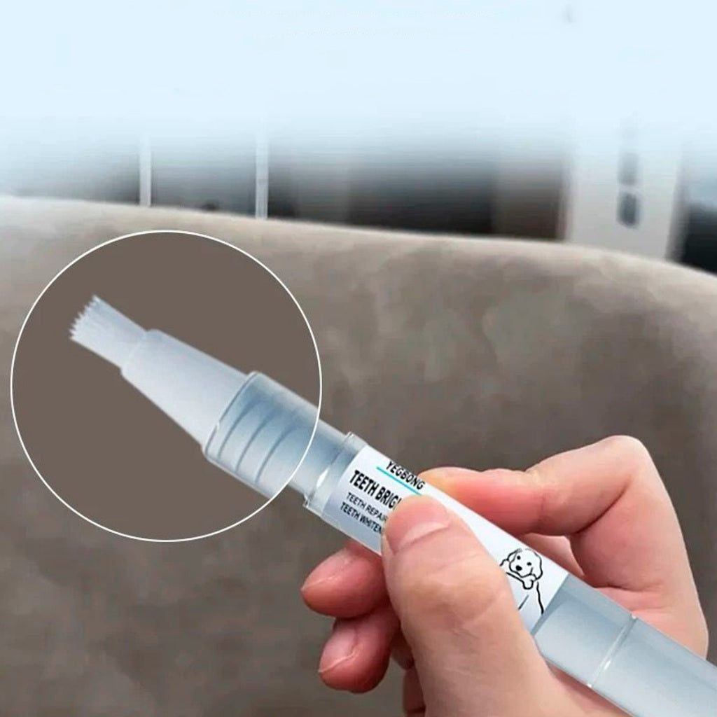 Caneta dental pet ForPatas