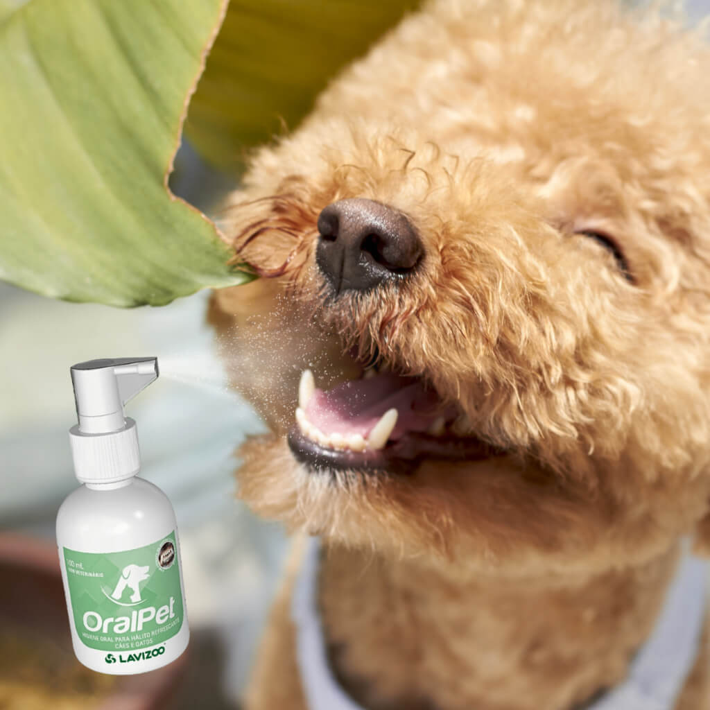 Oralpet Spray 100ml – Anti-Tártaro, Mau Hálito e Gengivite para Cães e Gatos – Lavizoo™