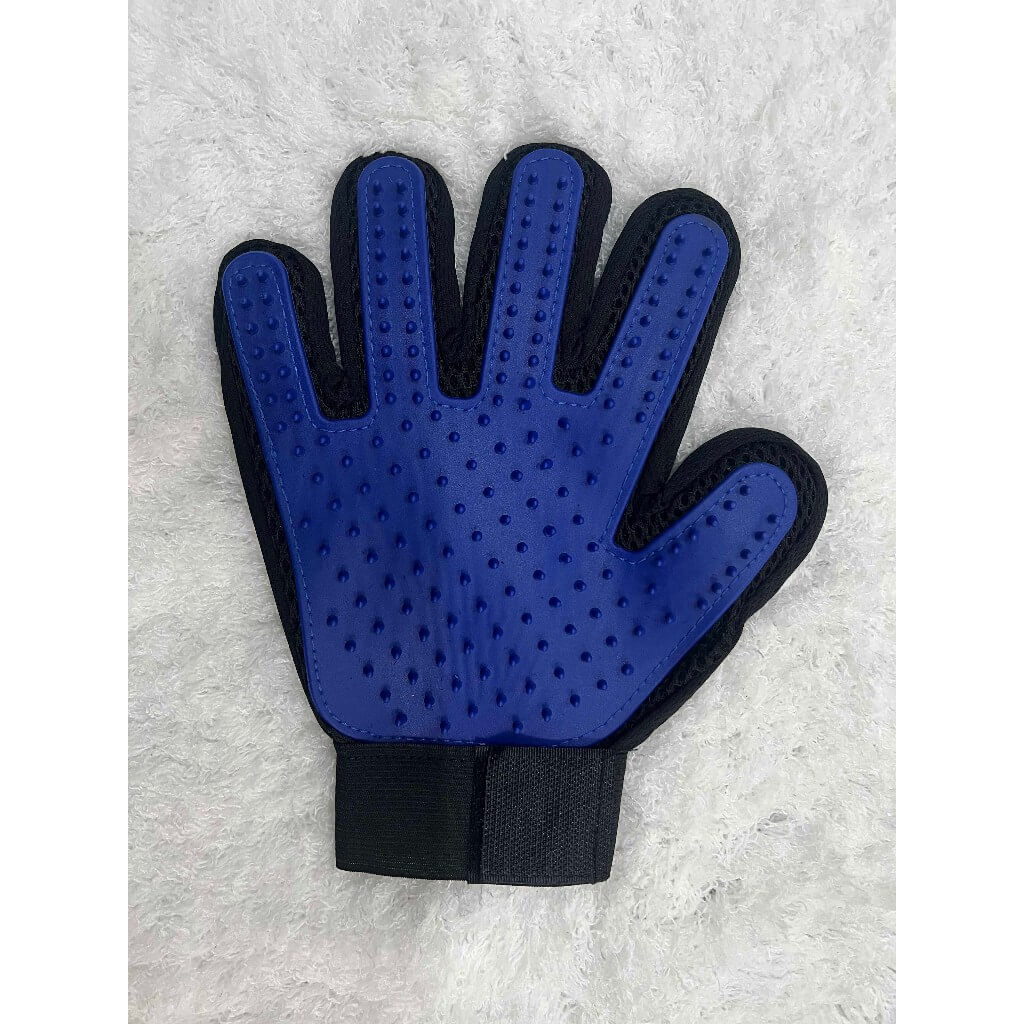 Kit Higiene 5 em 1 para Pets – Banho, Escovação e Corte de Unhas | ForPatas