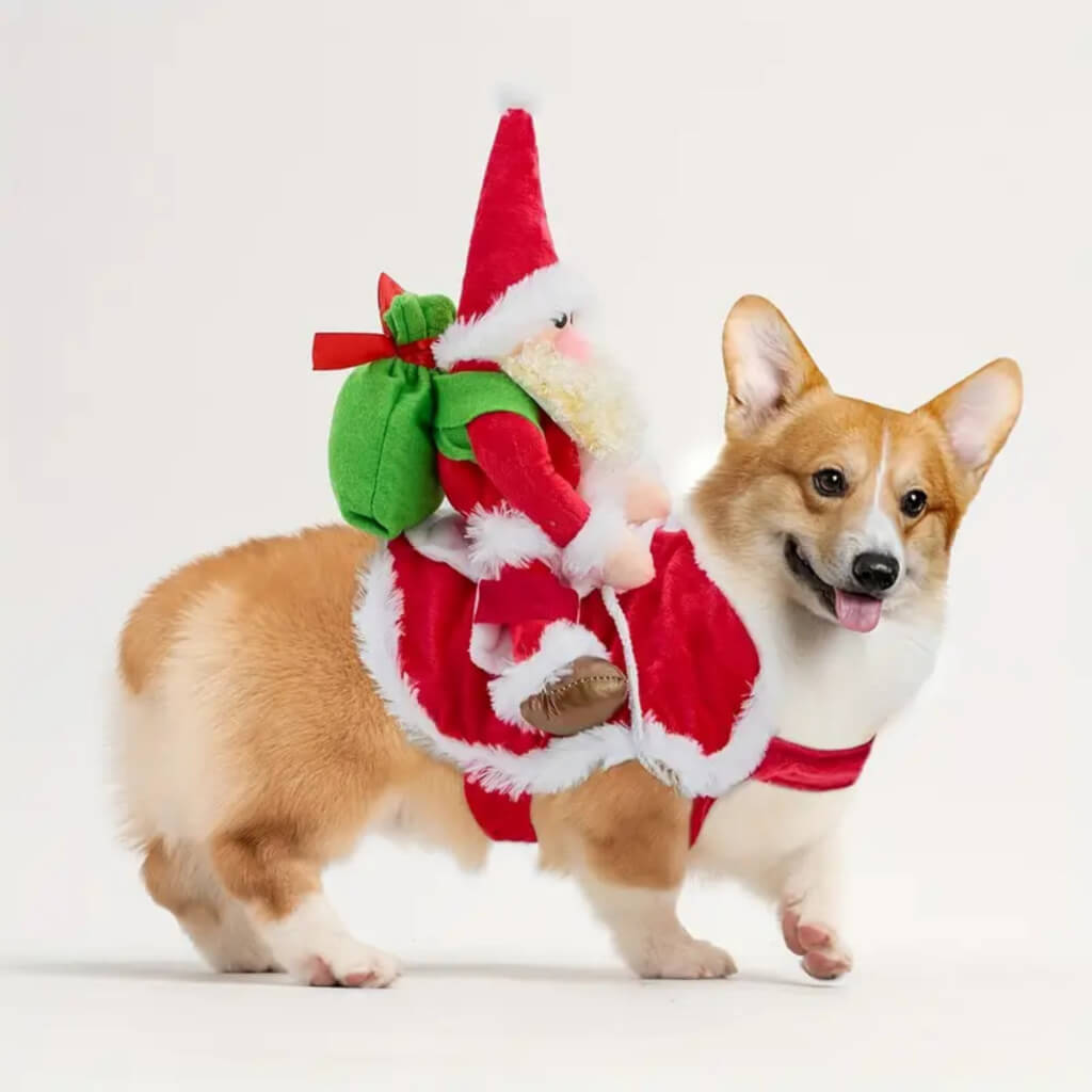 Roupa Fantasia de Natal Papai Noel para Cães e Gatos – Barkify™