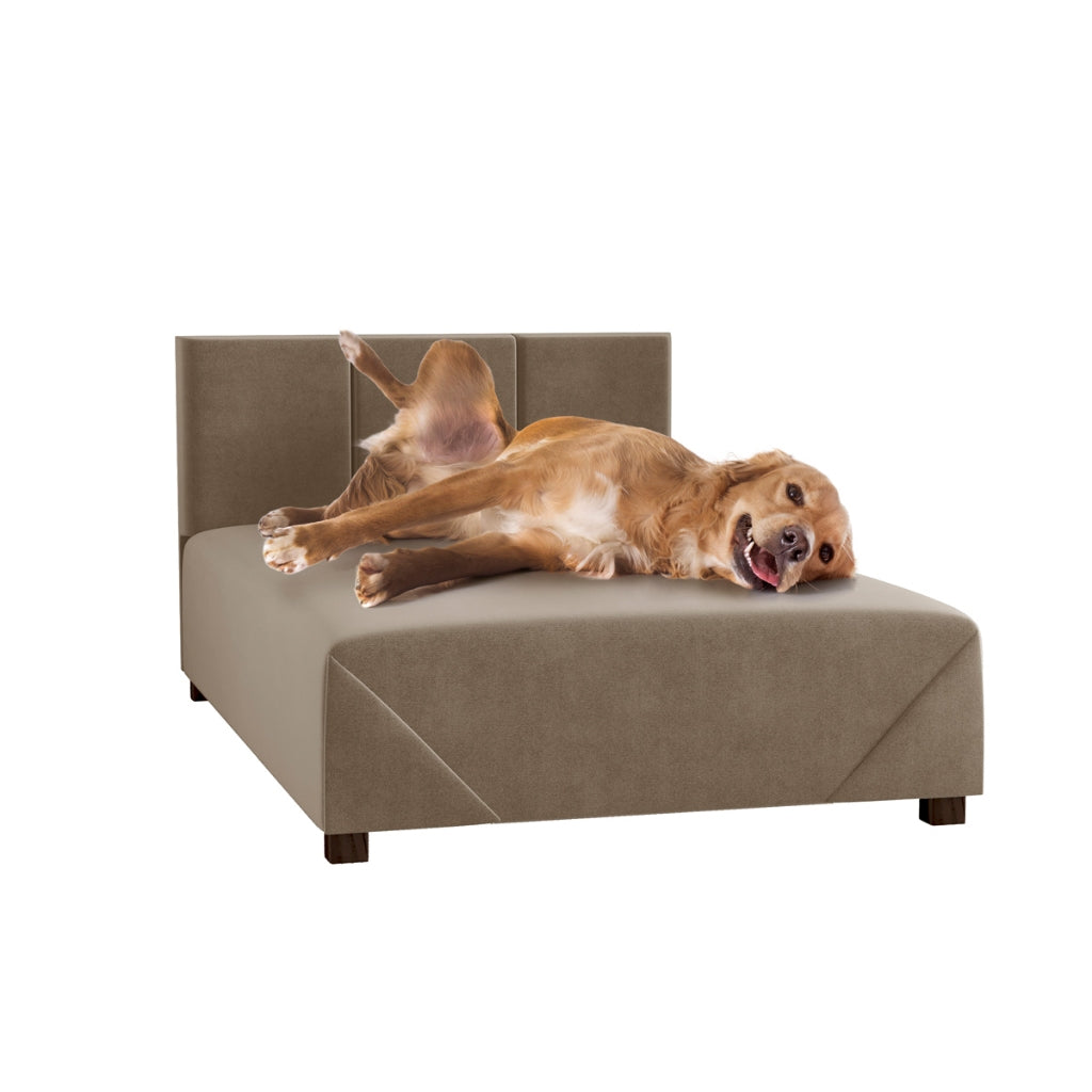 Cama Box Pet em Suede com Estrutura de Madeira – Lupzy™ | Conforto Elevado e Firme para o Descanso