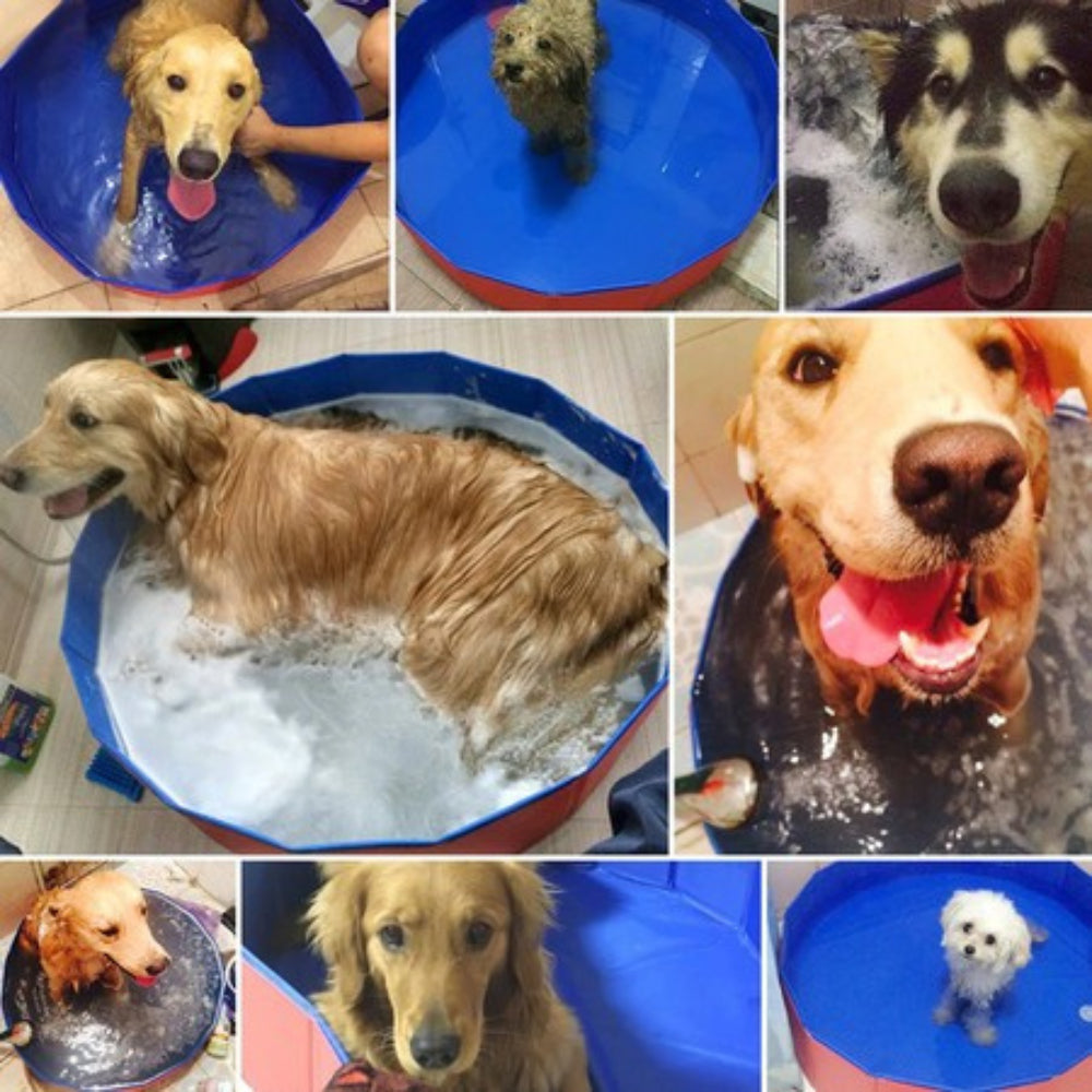 Piscina Dobrável para Cachorro e Crianças em PVC Antideslizante – Duty™ | Diversão e Refresco no Calor