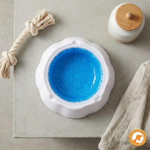 Tigela Gelada para Cães e Gatos – Água Sempre Fresquinha | ForPatas