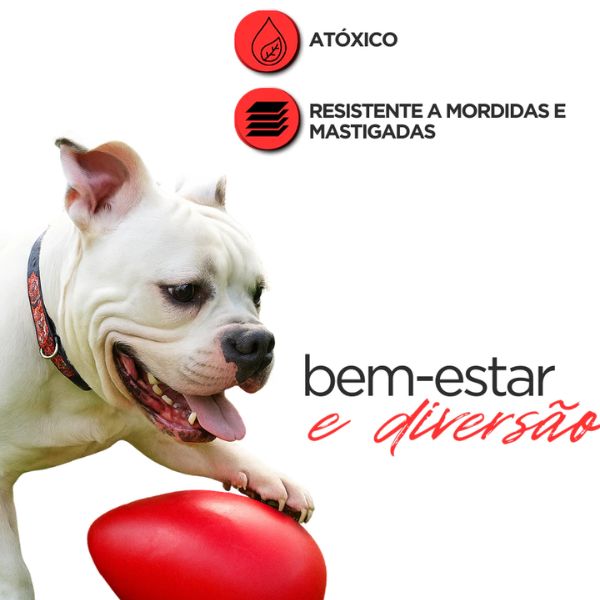 Brinquedo Mordedor Ovo Maluco para Cães – Barkify™ | Movimento Irregular e Alta Resistência