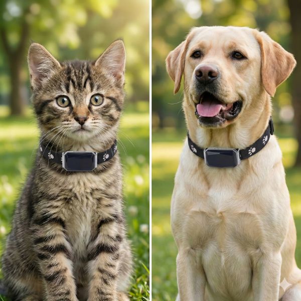 Coleira com GPS Rastreador em Tempo Real com Cerca Virtual para Cachorro e Gato Snouty™