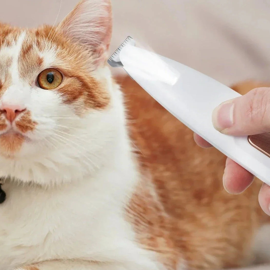 Aparador Elétrico TrimPet™ – Precisão Silenciosa com LED para Cães e Gatos
