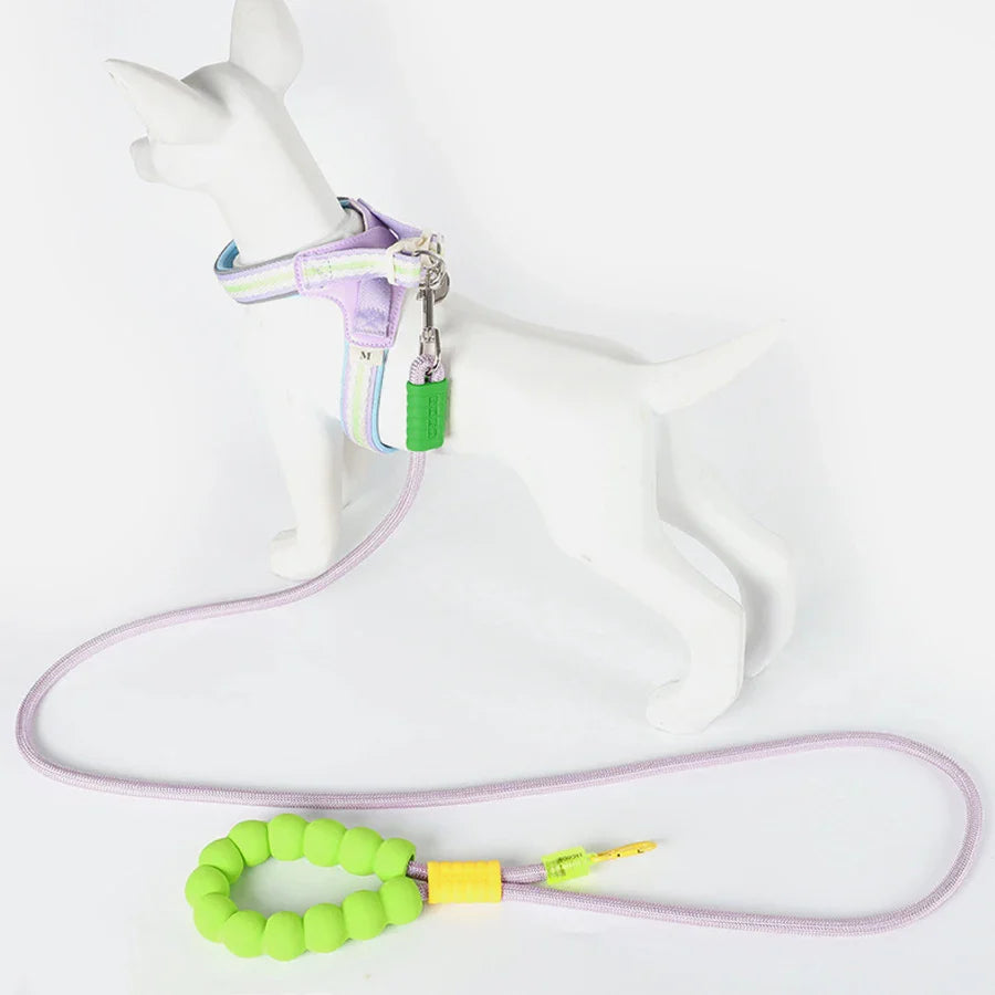 Guia 3 em 1 Elástica Ajustável com Porta-Saquinhos para Cachorro e Gato 185cm Pawslove™
