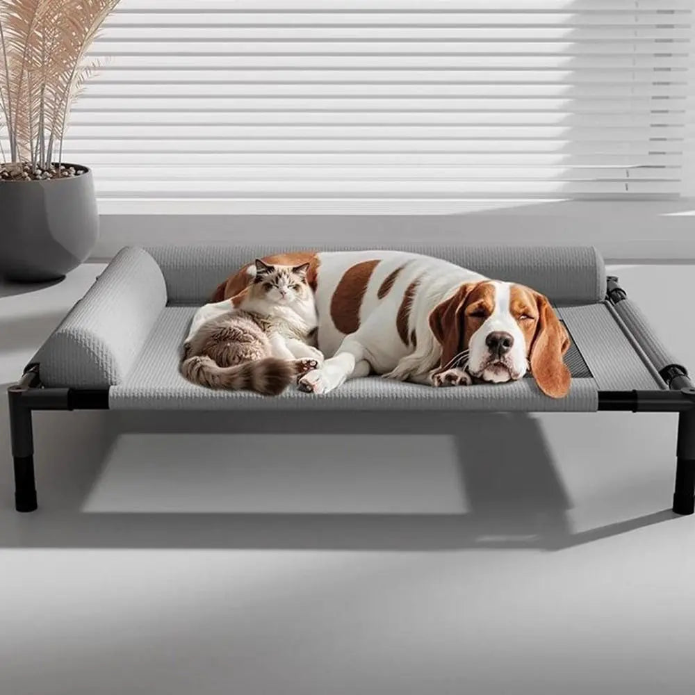 Cama Pet Elevada Confortável – Lupzy™ | Saúde, Praticidade e Estilo