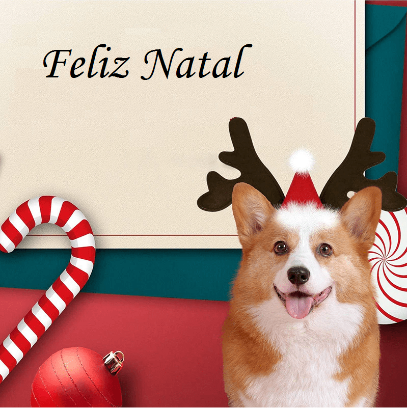 Acessório Rena Natalina - Snouty™ | Exclusivo da ForPatas