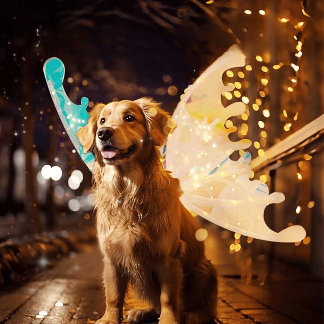 Asas de Borboleta Pet Brilhante - Kinect™ | Exclusivo da ForPatas