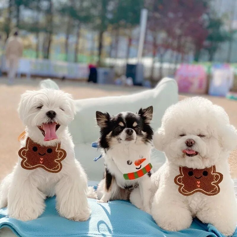 Babador Divertido de Natal - Furrish™ | Exclusivo da ForPatas