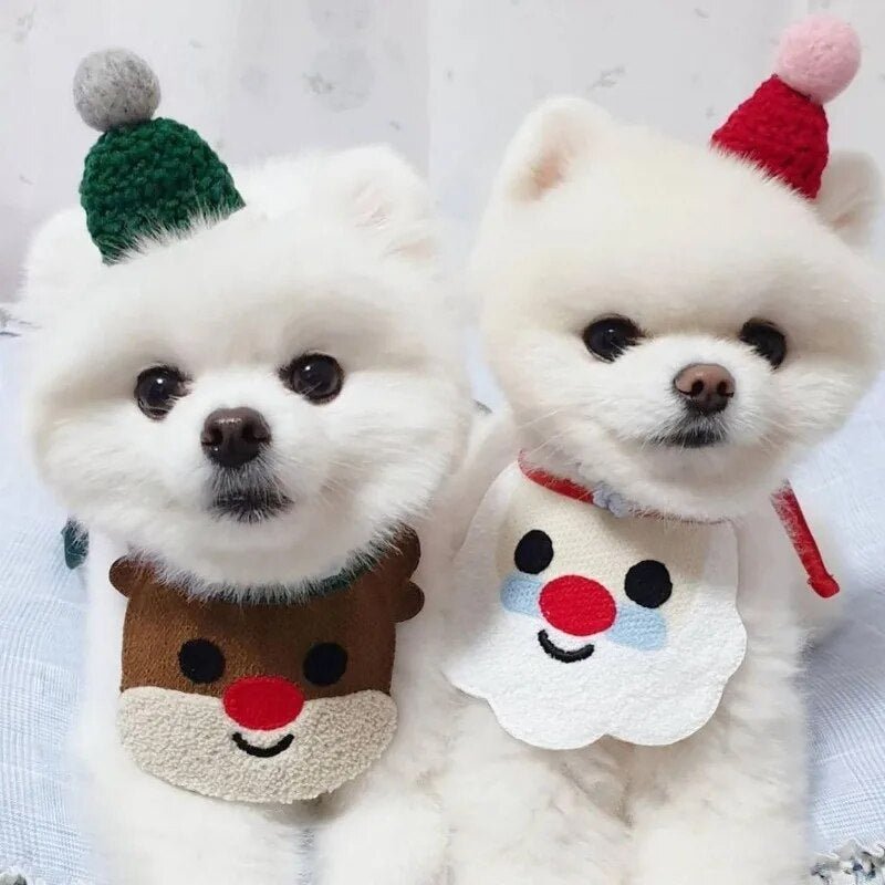 Babador Divertido de Natal - Furrish™ | Exclusivo da ForPatas