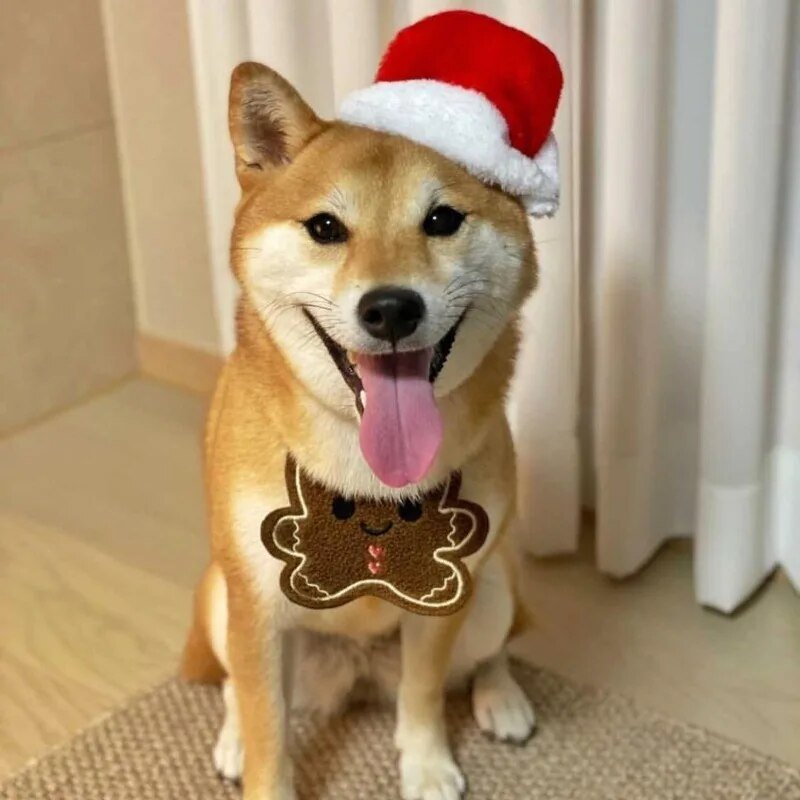 Babador Divertido de Natal - Furrish™ | Exclusivo da ForPatas