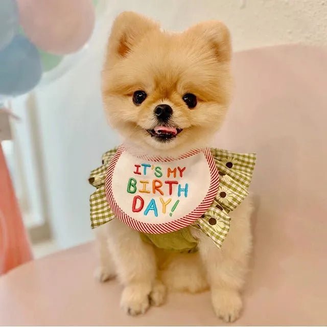 Babador Pet Birthday - Pawzly™ | Exclusivo da ForPatas