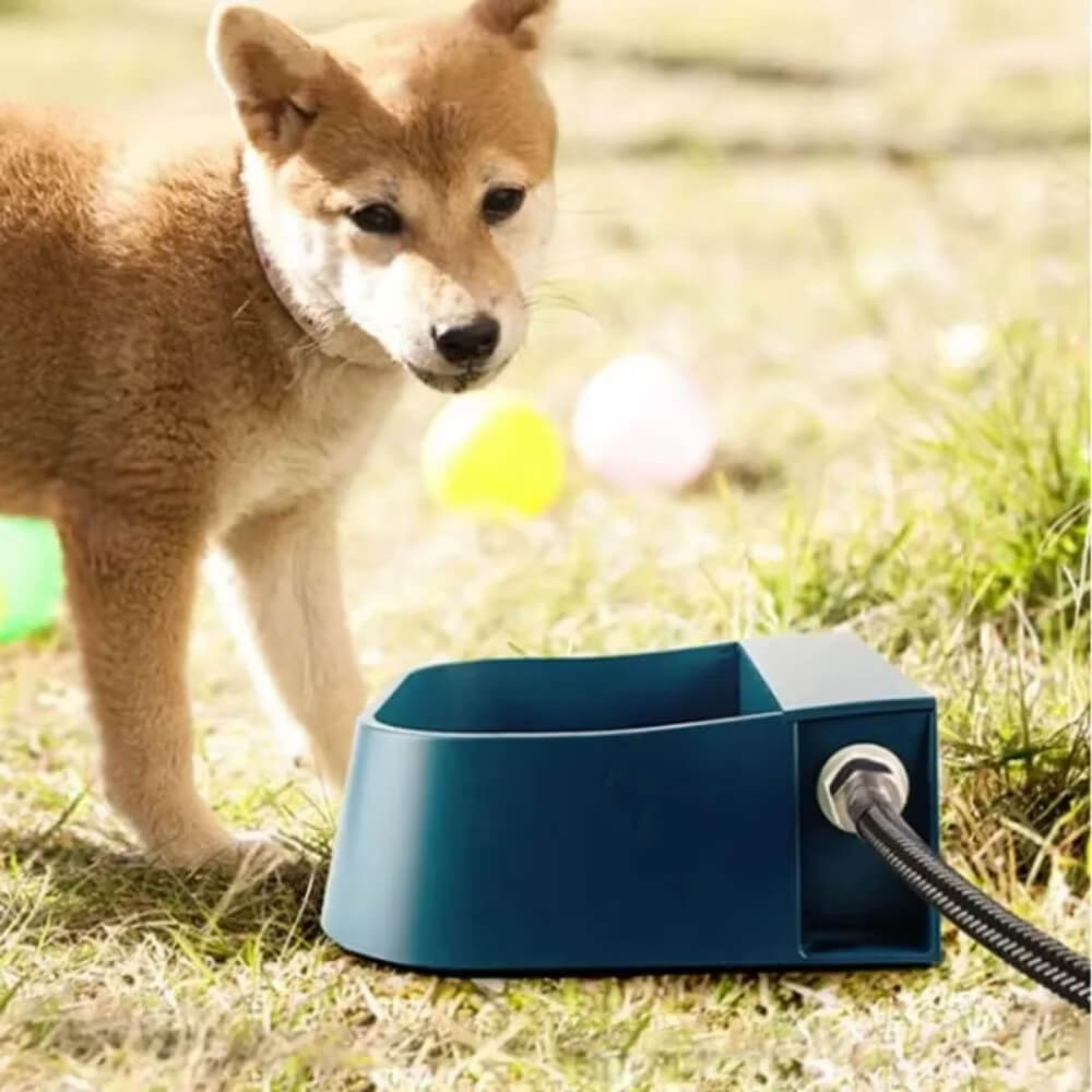 Bebedouro Automático para Pets - Snouty™ | Exclusivo da ForPatas