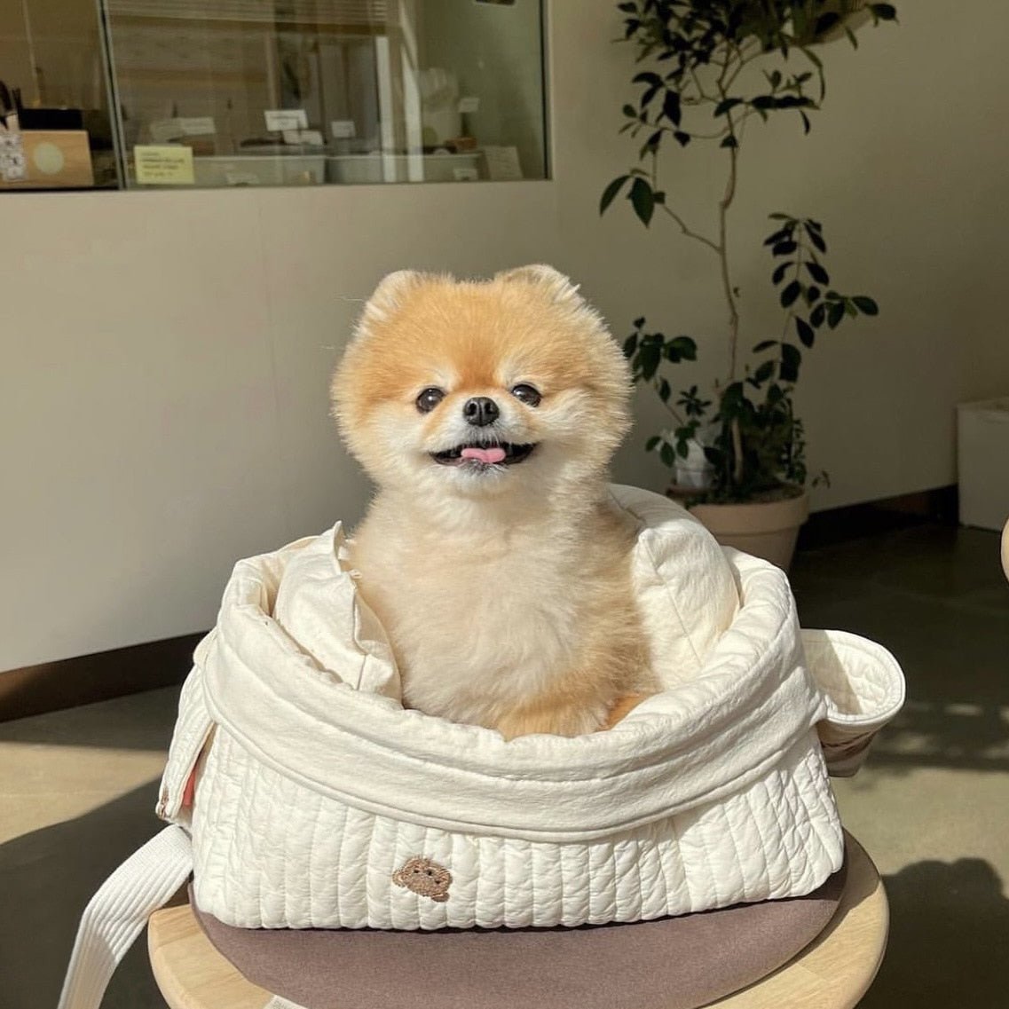 Bolsa de Transporte Pet - Woofline™ | Exclusivo da ForPatas