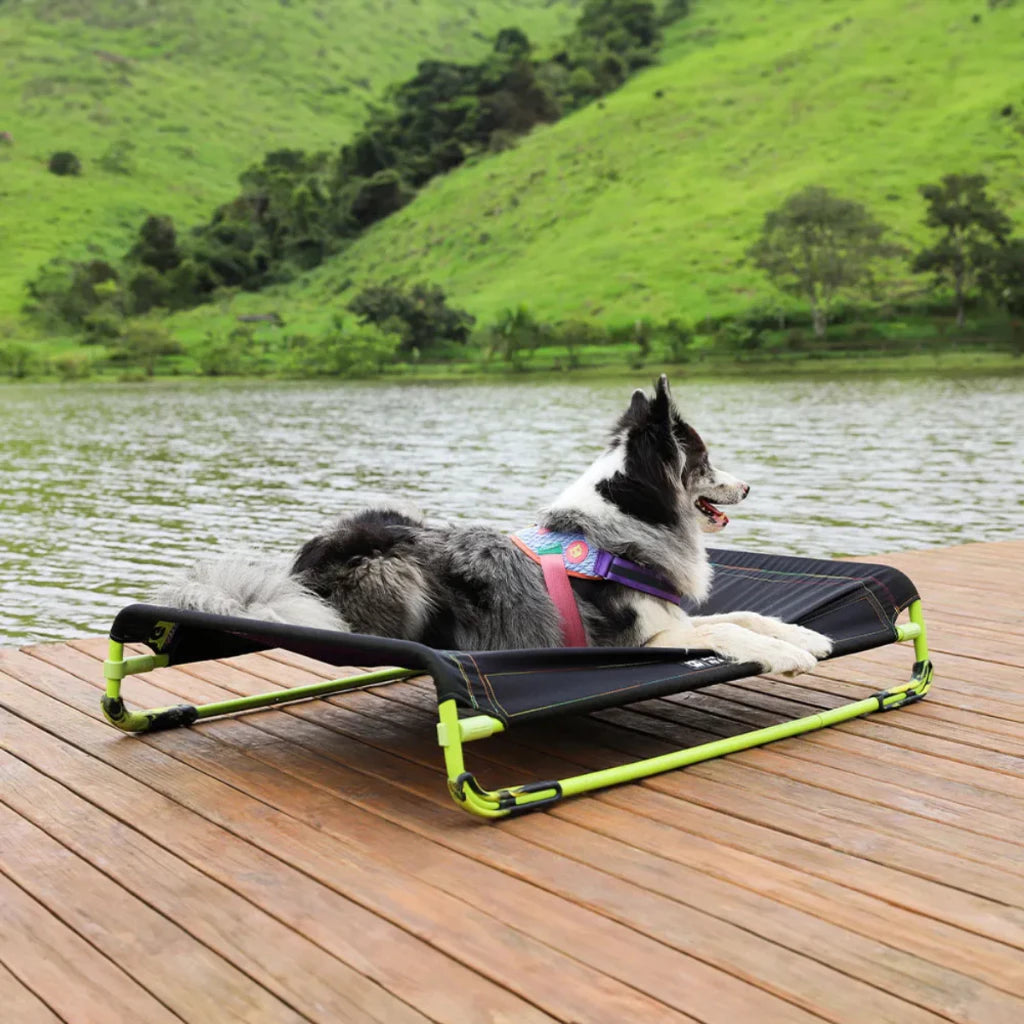 Cama Elevada Antiderrapante Lavável para Cachorro Air Bed Zee Dog™