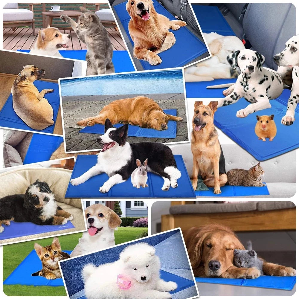 Tapete Gelado Azul para Pets Refrescante Contra Calor + Conforto Imediato