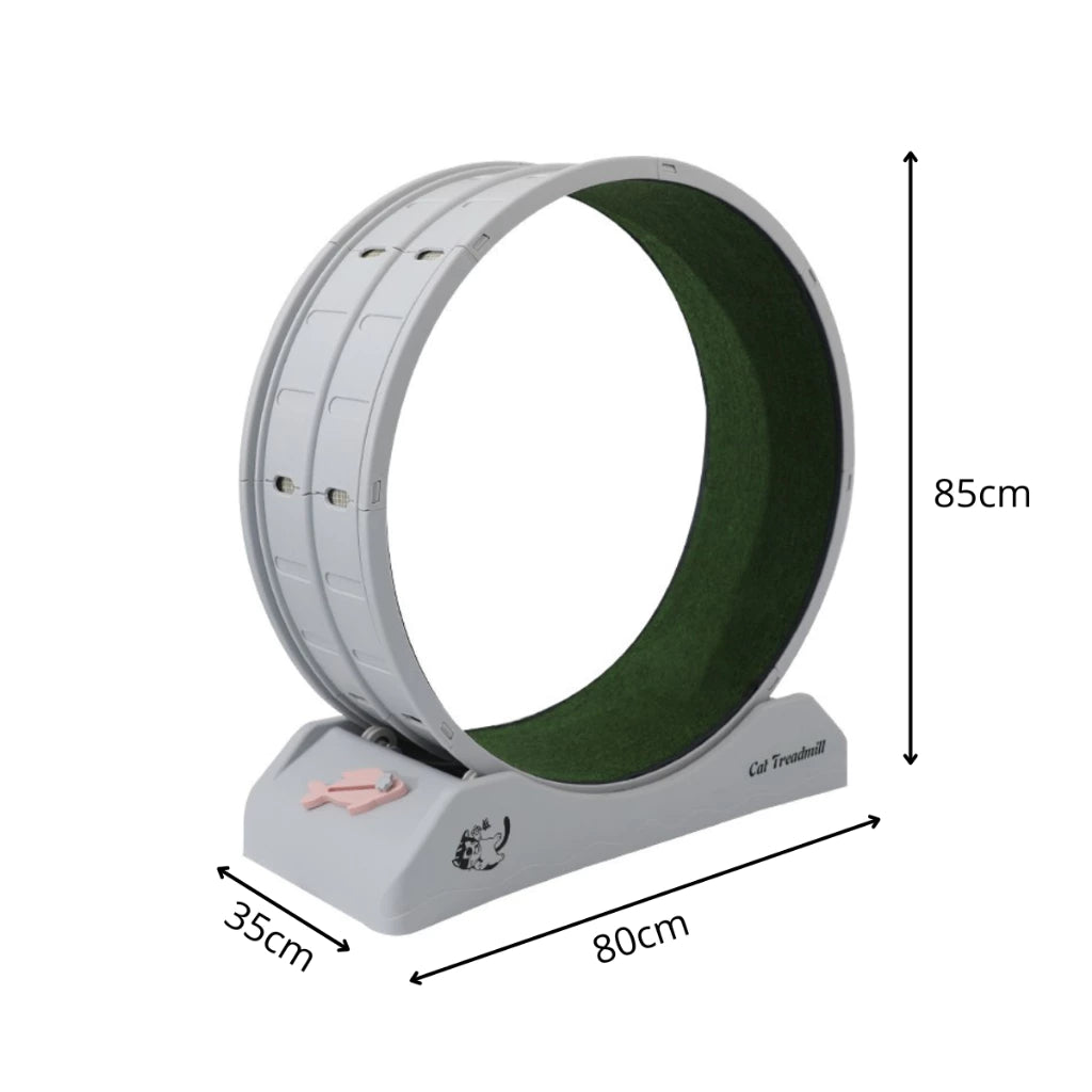 Roda de Exercício Indoor Silenciosa com Varinha para Cachorro e Gato até 15kg