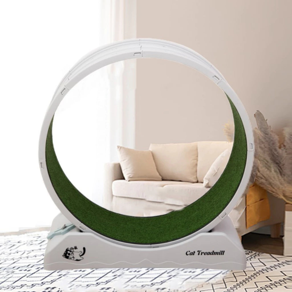 Roda de Exercício Indoor Silenciosa com Varinha para Cachorro e Gato até 15kg