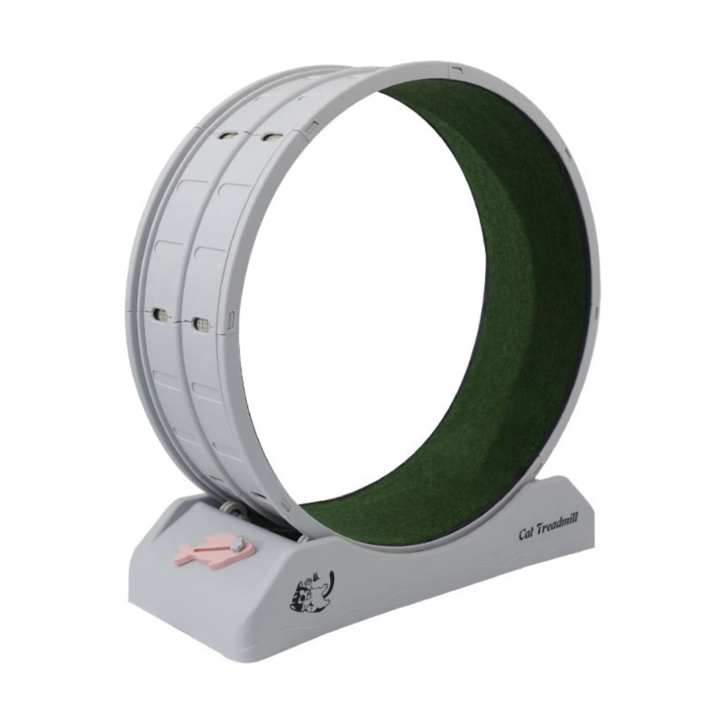 Roda de Exercício Indoor Silenciosa com Varinha para Cachorro e Gato até 15kg