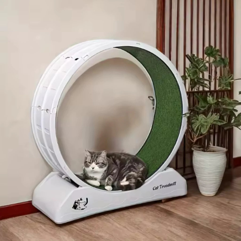 Roda de Exercício Indoor Silenciosa com Varinha para Cachorro e Gato até 15kg