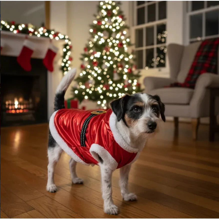 Roupa Natalina Papai Noel para Pets – Barkify™