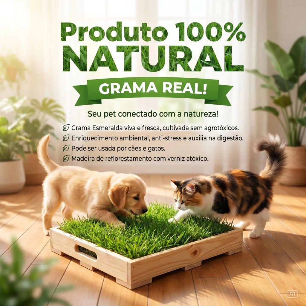 Tapete Higiênico de Grama Natural Lavável para Cachorro e Gato com Caixa 55x40 Sanitária Greenify™