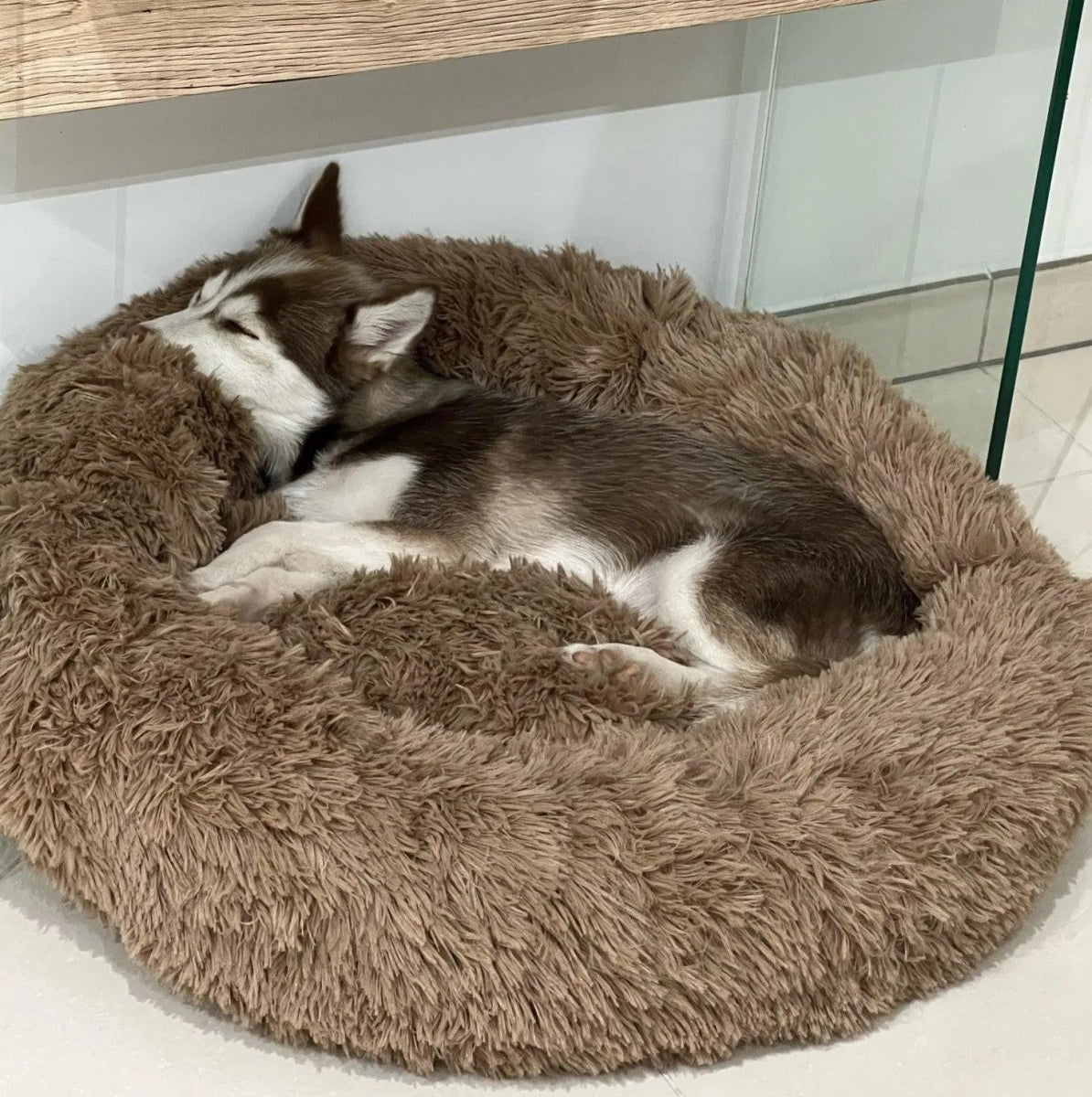 Cama Anti - Ansiedade RelaxPet - Barkify™ | Exclusivo da ForPatas