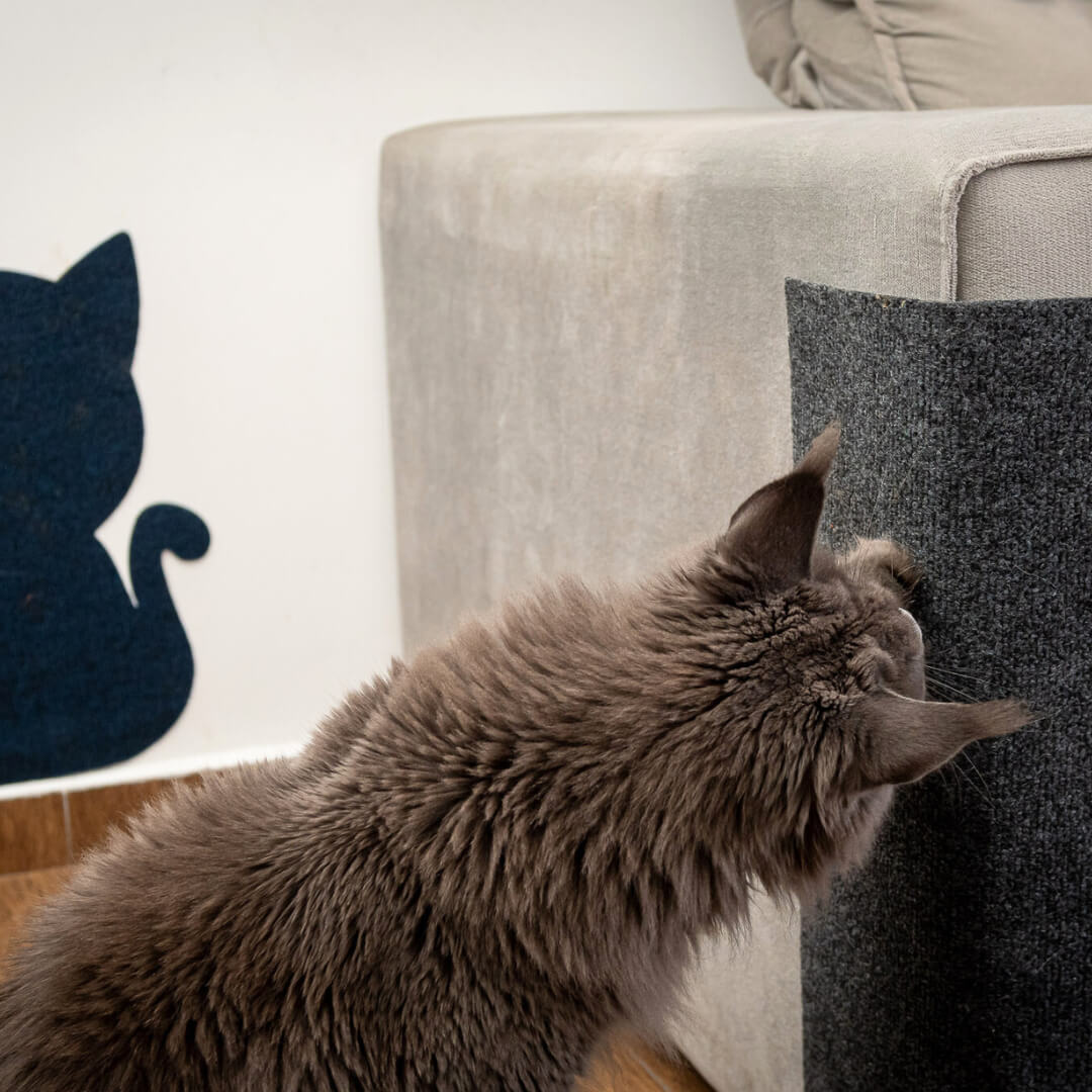 Carpete Protetor Multiuso para Gatos - FurBlock™ | Exclusivo da ForPatas