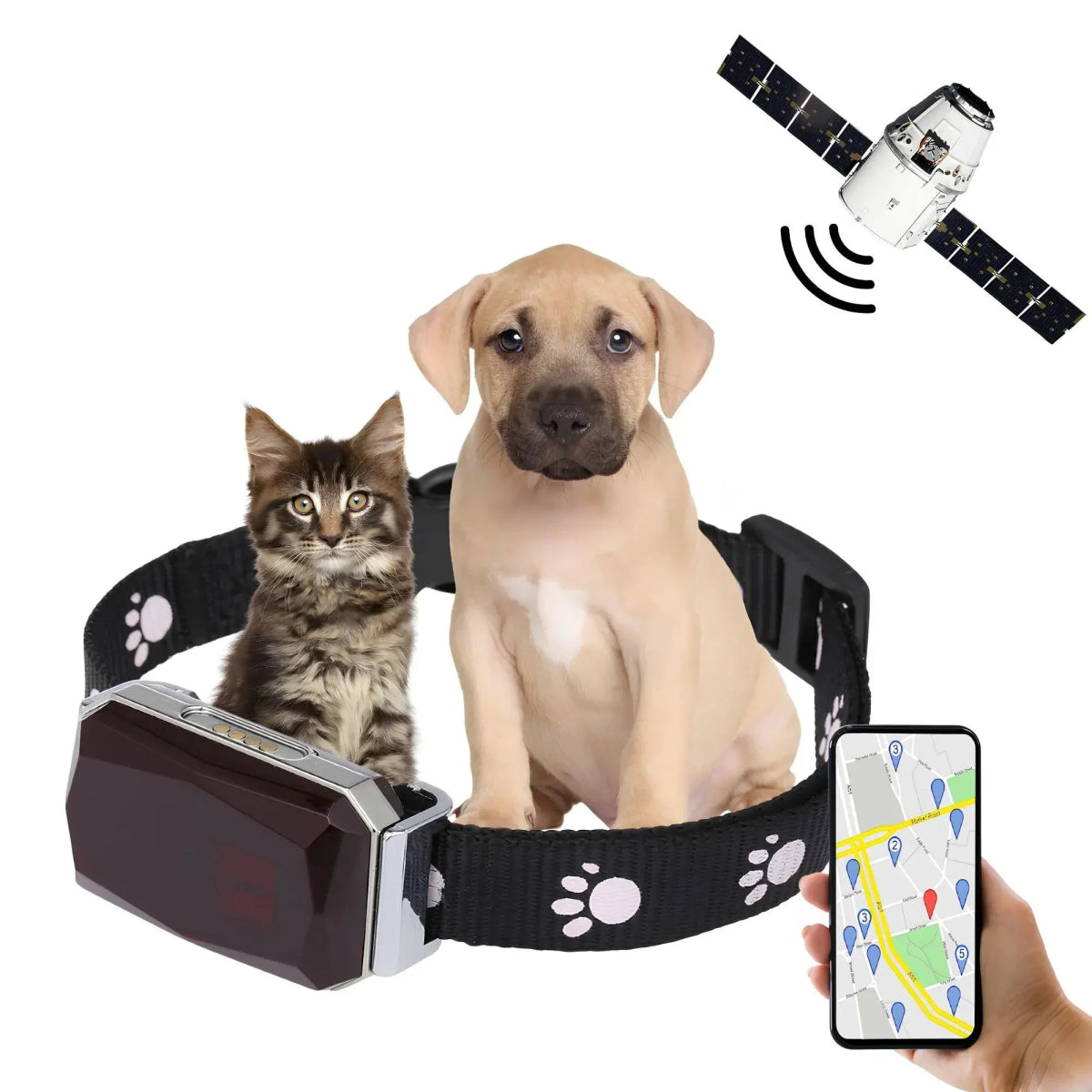 Coleira Com Gps Para Pets Precisão e Rapidez - Snouty™ | Exclusivo da ForPatas