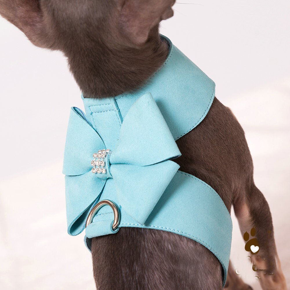 Coleira com Guia - Furrish™ | Exclusivo da ForPatas