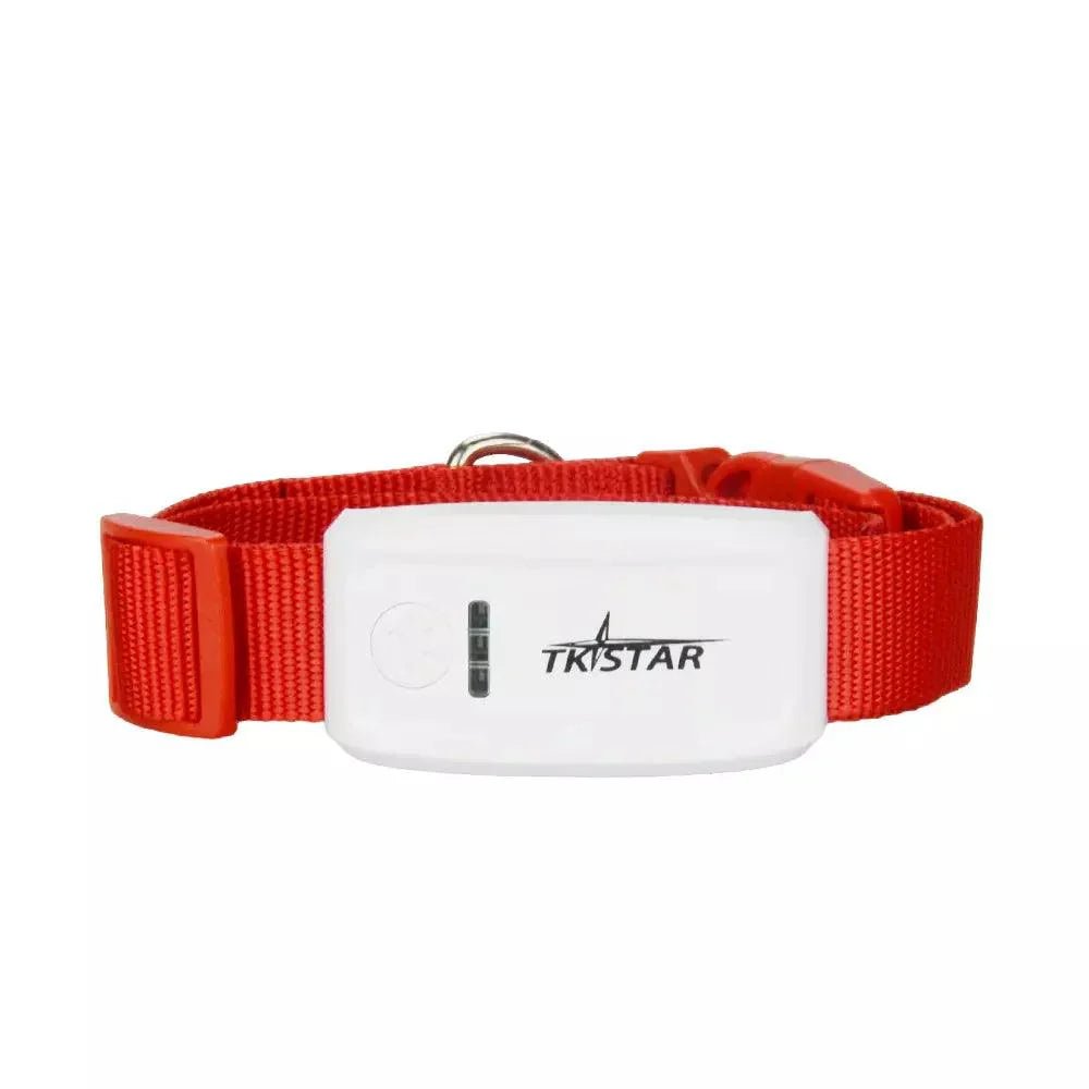Coleira com Rastreador GPS Para Pets - Duty™ | Exclusivo da ForPatas