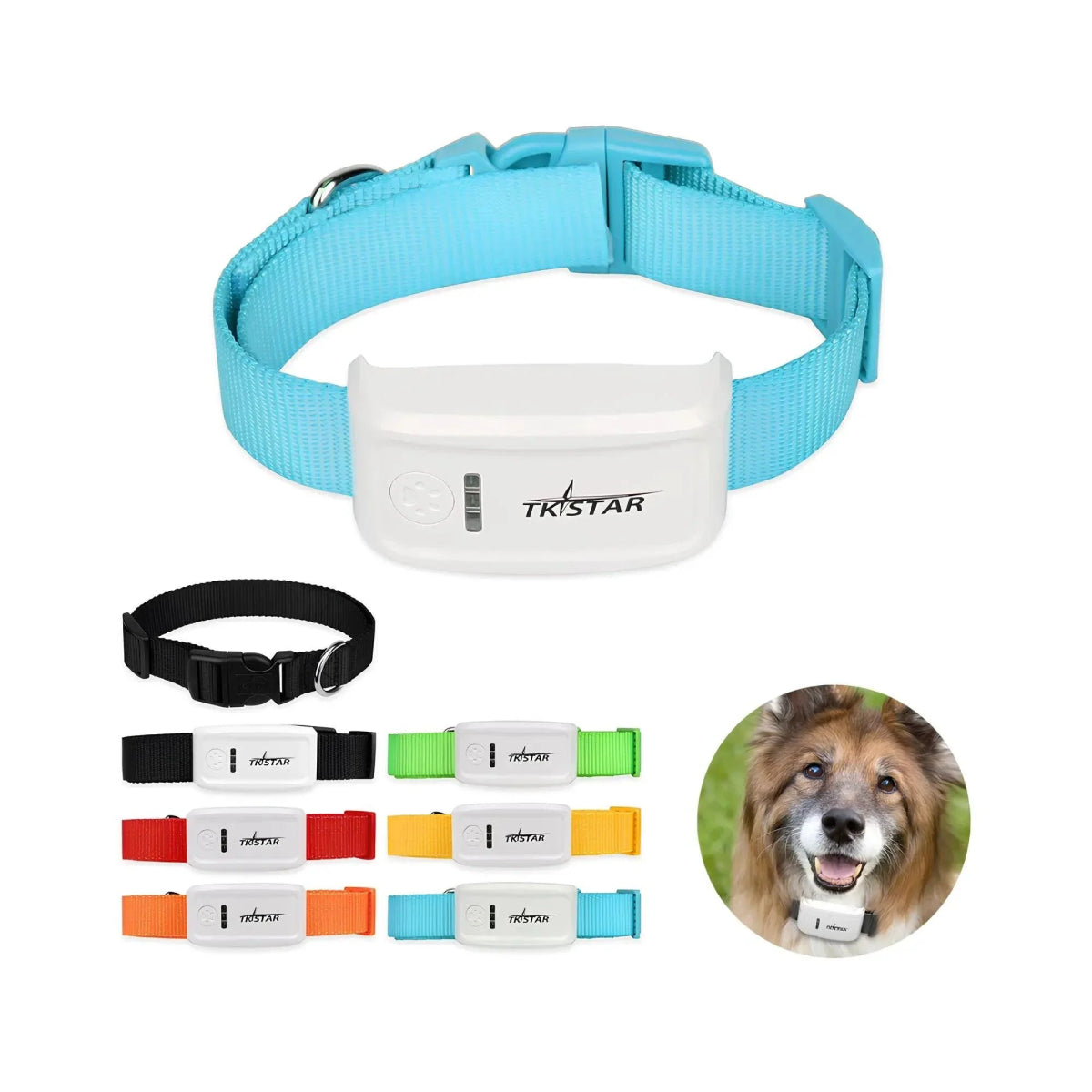 Coleira com Rastreador GPS Para Pets - Duty™ | Exclusivo da ForPatas