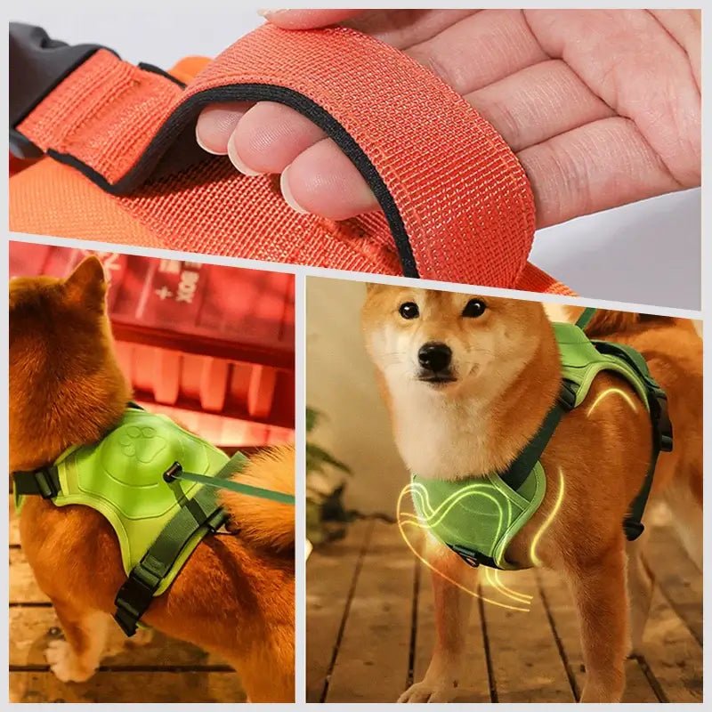 Coleira Retrátil com Guia para Cães de Médio e Grande Porte - Petzo™ | Exclusivo da ForPatas