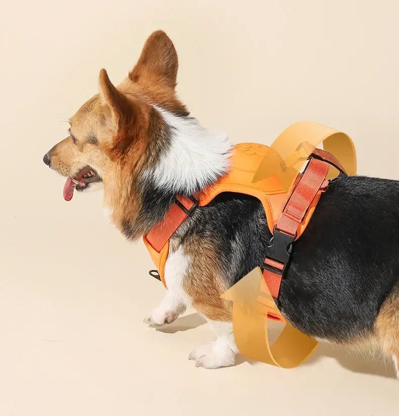 Coleira Retrátil com Guia para Cães de Médio e Grande Porte - Petzo™ | Exclusivo da ForPatas