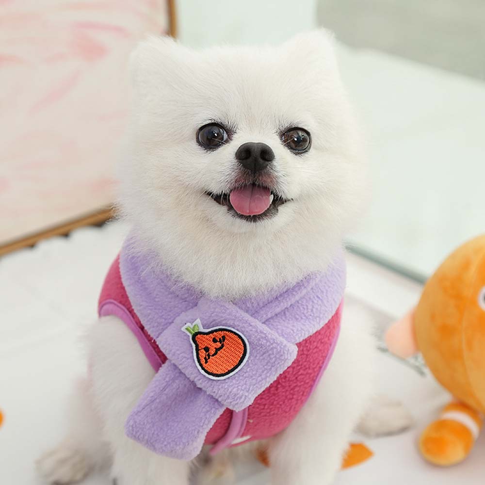 Colete & Cachecol Abóbora - Woofline™ | Exclusivo da ForPatas