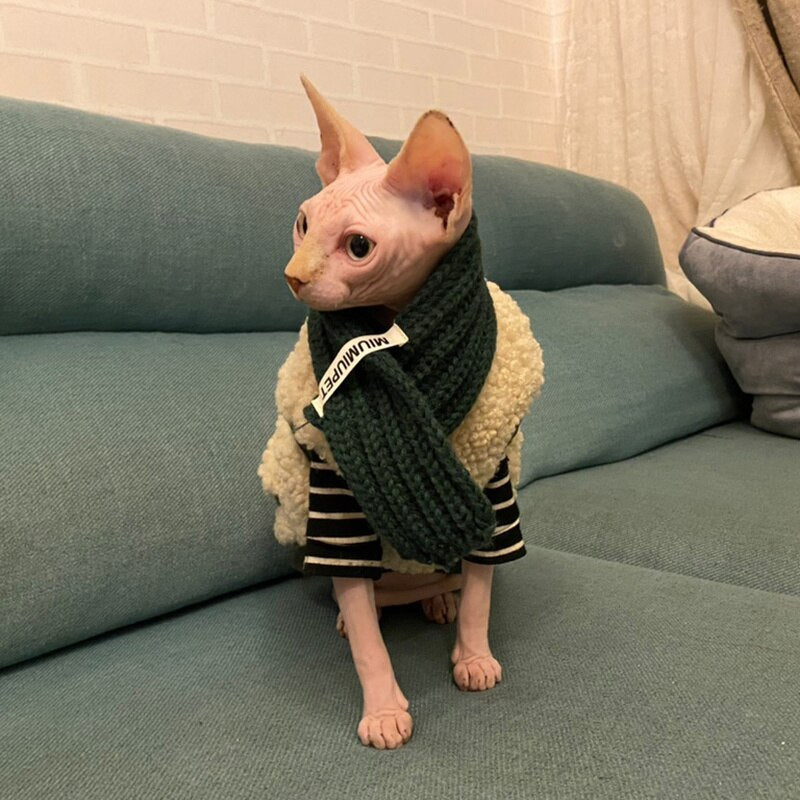 Colete Com Cachecol - Barkify™ | Exclusivo da ForPatas