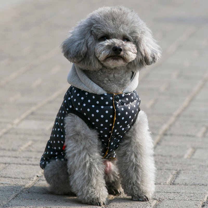 Colete com Capuz - Furrish™ | Exclusivo da ForPatas