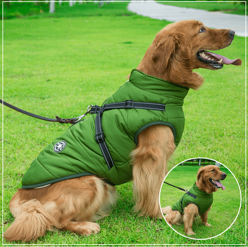 Colete Impermeável Vips - Muttly™ | Exclusivo da ForPatas