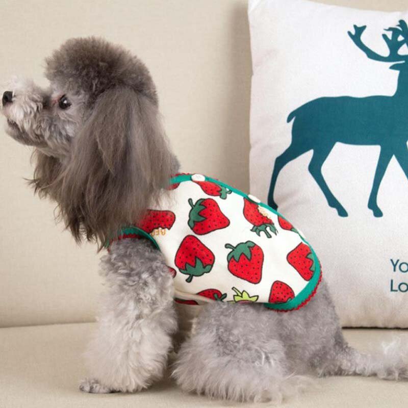 Colete Moranguinho - Duty™ | Exclusivo da ForPatas