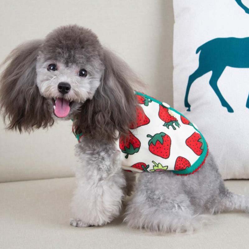 Colete Moranguinho - Duty™ | Exclusivo da ForPatas