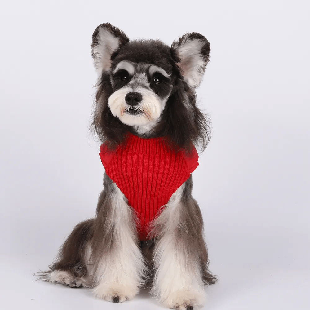 Colete Pet - Duty™ | Exclusivo da ForPatas